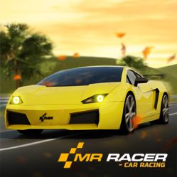 Mr. Racer - Car Racing Image